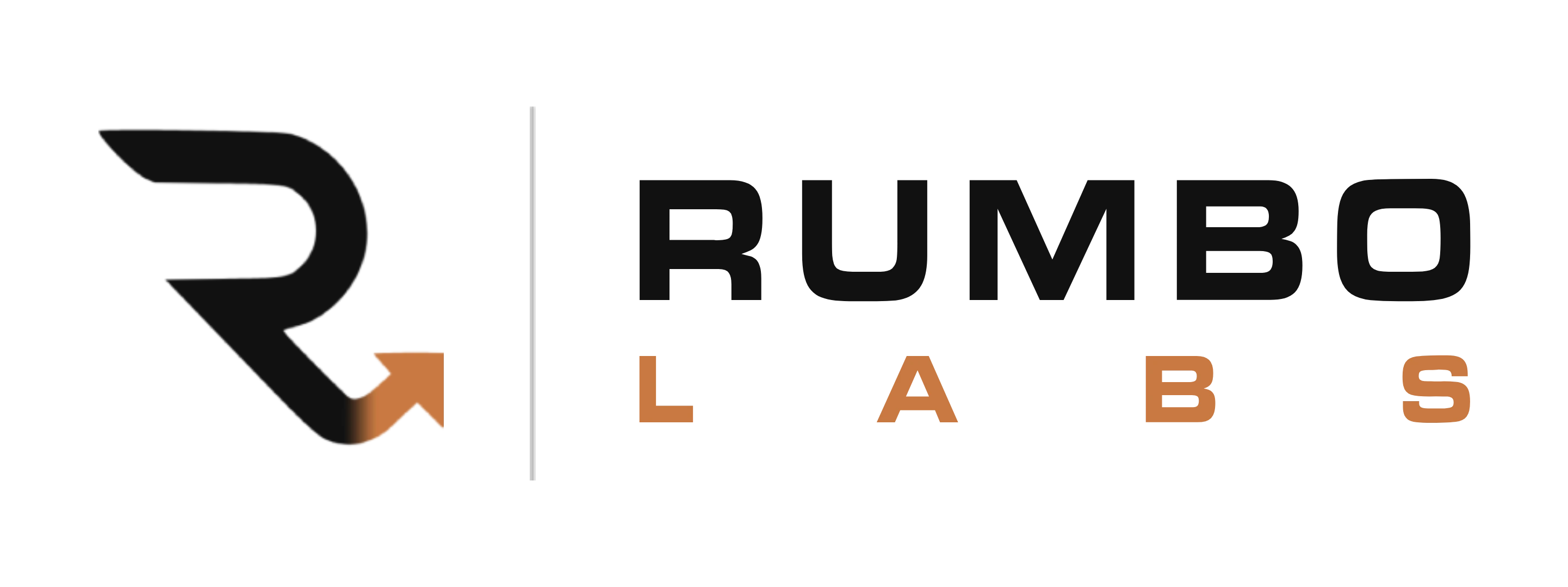 Rumbo Labs